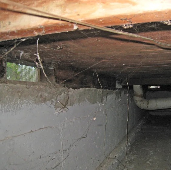 Water Extraction Services in Tulsa, OK